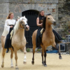 Cathy Mittig Spectacles Equestres