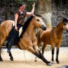 Cathy Mittig Spectacles Equestres