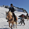 Happy Horse Movana - Villars-Gryon - Suisse