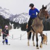 Happy Horse Movana - Villars-Gryon - Suisse