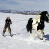 Ski Joering - manege-de-chateau-d-oex