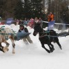 Ski Joering - manege-de-chateau-d-oex