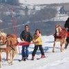 centre-equestre-des-bauges - Ski joering