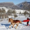 centre-equestre-des-bauges - Ski joering