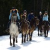 Ski Joering - Meribel