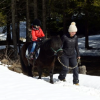 Ski Joering - Meribel