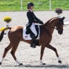 federation-equestre-internationale