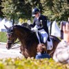 federation-equestre-internationale