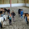 Procheval formations équestres pour  professionnels et  grand public