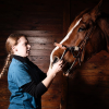 Toubeau Laura- Veterinaire - dentiste