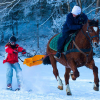 chevaux-gruyeres  - Ski joring en Suisse