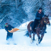 chevaux-gruyeres  - Ski joring en Suisse