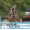 studbook-du-cheval-de-selle-luxembourgeois