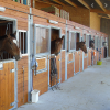 Klepper - realisation de boxes pour chevaux