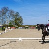 belgian-paralympic-comite