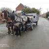 centre-provincial-des-metiers-du-cheval