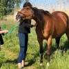 aurelie-durand - 