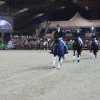 paardensport-vlaanderen