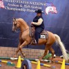 federation-americaine-d-equitation