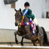 federation-americaine-d-equitation