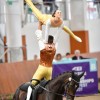 federation-americaine-d-equitation