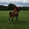 la-chatta-polo-training-club