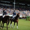 Ukraine  equestrian fédération