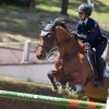 CSI Rome Jumping international