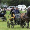 cheval-du-vercors-de-barraquand