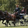 association-equestre-croatie-trg