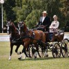 association-equestre-croatie-trg