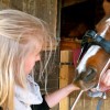 Veterinaire pour chevaux - Meurice Melissa