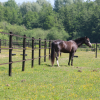 Country Fences