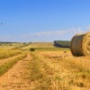 spriet-fils-sa-beloeil