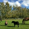 Free Spirit   pensions en paddock paradise