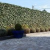 les-boxes-jardins-de-natacha