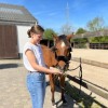 labed-shana - veterinaire nutritioniste