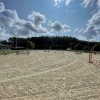 haras-du-roua-cras-avernas-hannut