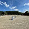 haras-du-roua-cras-avernas-hannut