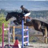 jonckeu-equestrian