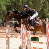 selles pour chevaux - CWD