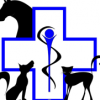 Dauremie Roxane - Veterinaire