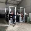 horse veterinarian