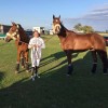 de-jamblinne-anne veterinaire