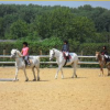 La Petite Ferme de Trazegnies asbl