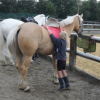 La Petite Ferme de Trazegnies asbl