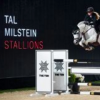 tal-milstein-stables