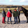 La Ferme de Bourdon - Equi-coaching