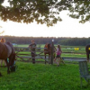 La Ferme de Bourdon - Equi-coaching