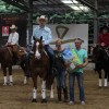 reining horse association